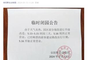 开云官网手机网页版入口截图4